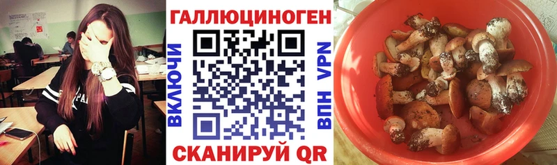 Галлюциногенные грибы GOLDEN TEACHER  Купить где  Могоча 